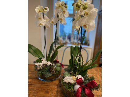 Ozdobená orchidea